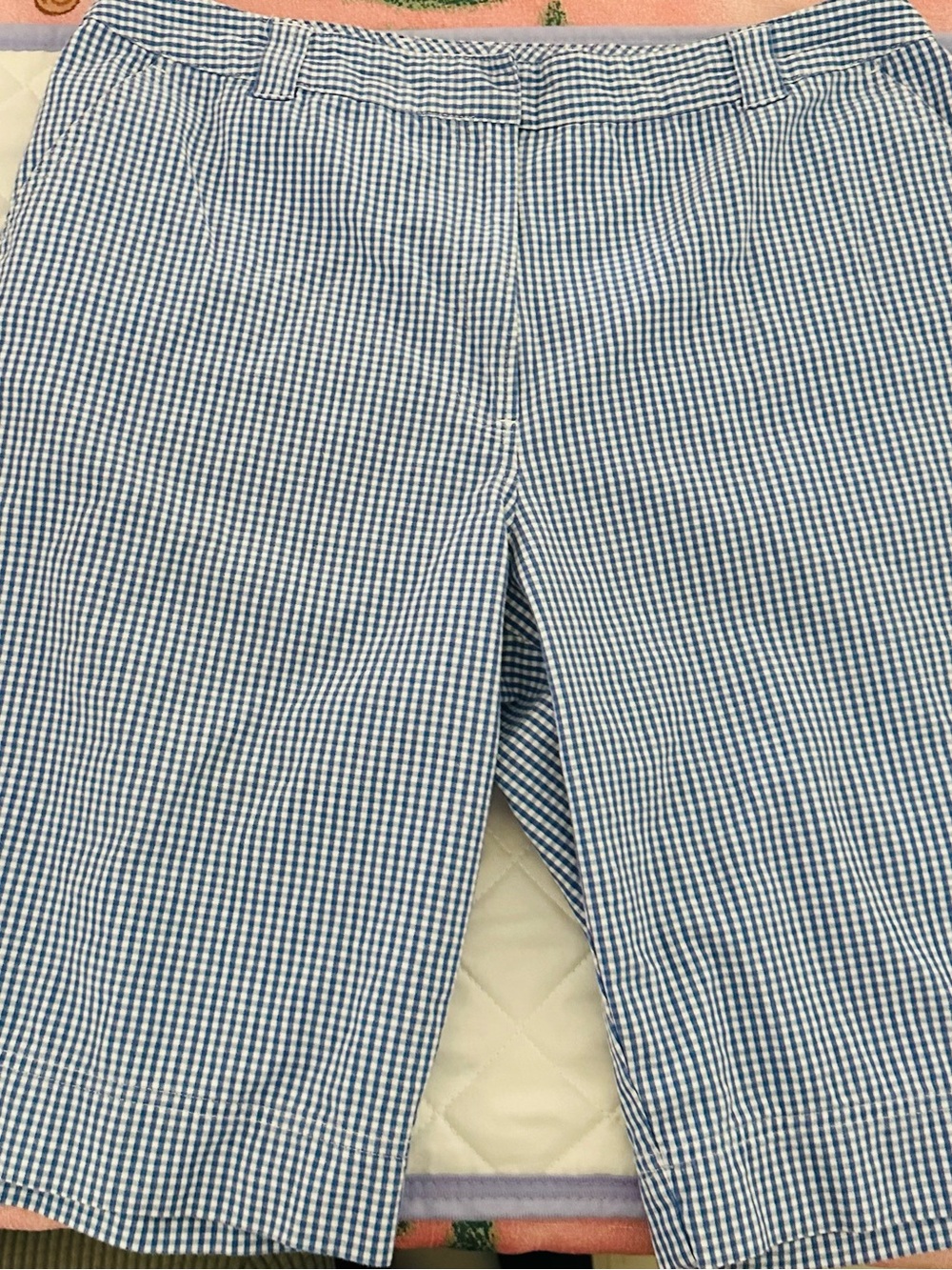 KimRogers  Women’s   Blue Gingham Chinos Size 16